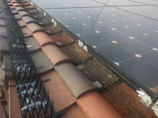 ネット　針山（剣山）設置